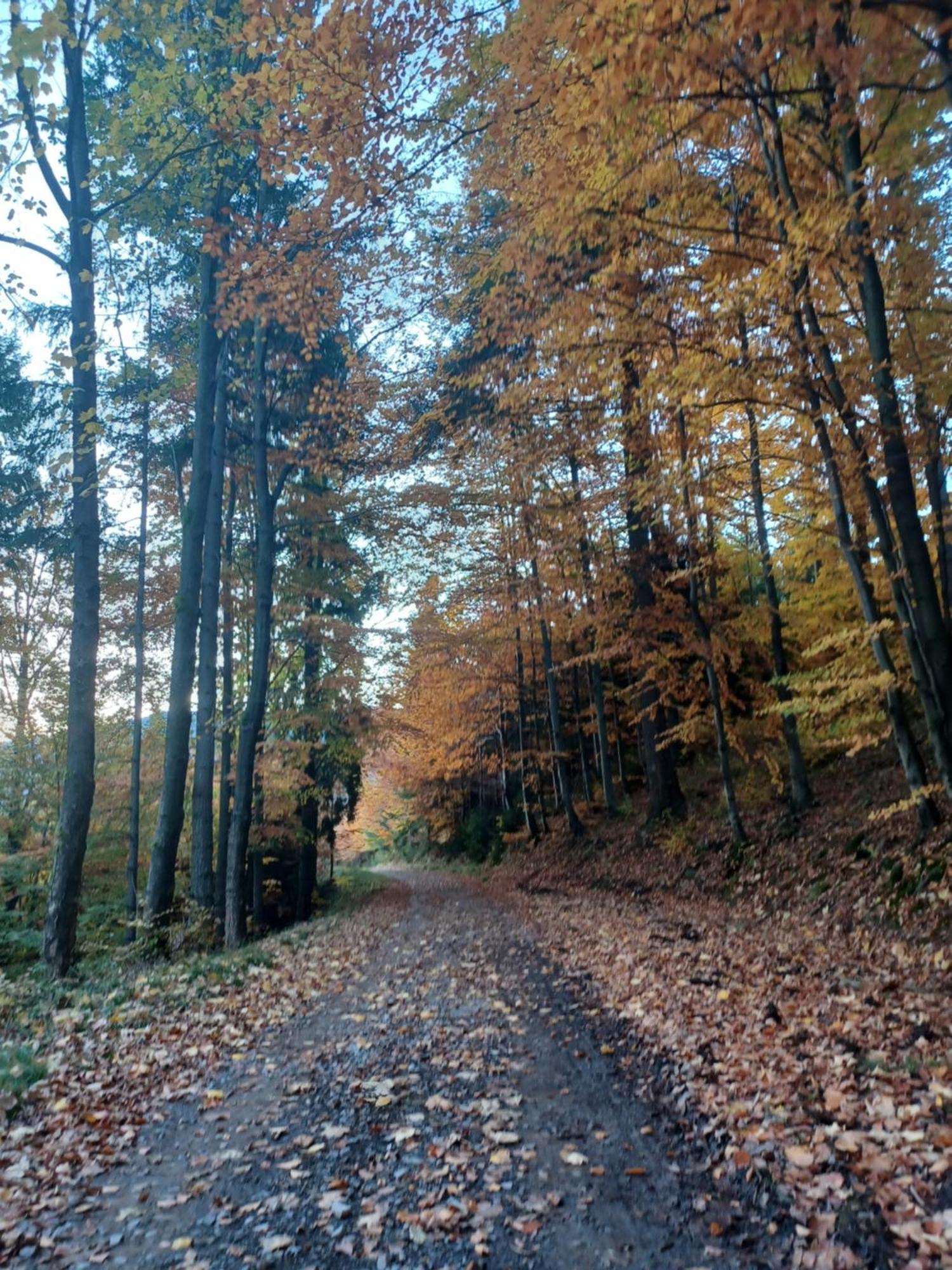 Domek Na Skalce Zabnica Exterior foto